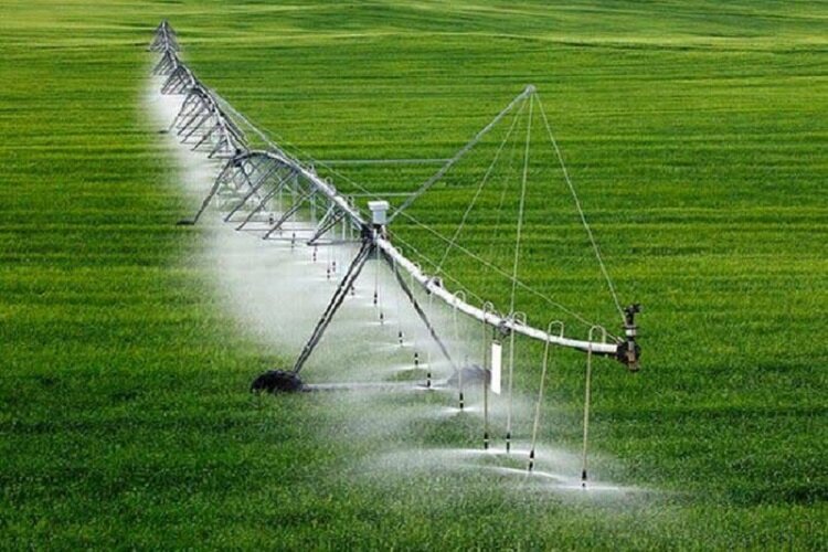 اتصال سامانه‌های وزارت جهادکشاورزی و نیرو برای مدیریت هوشمند آب و تولید